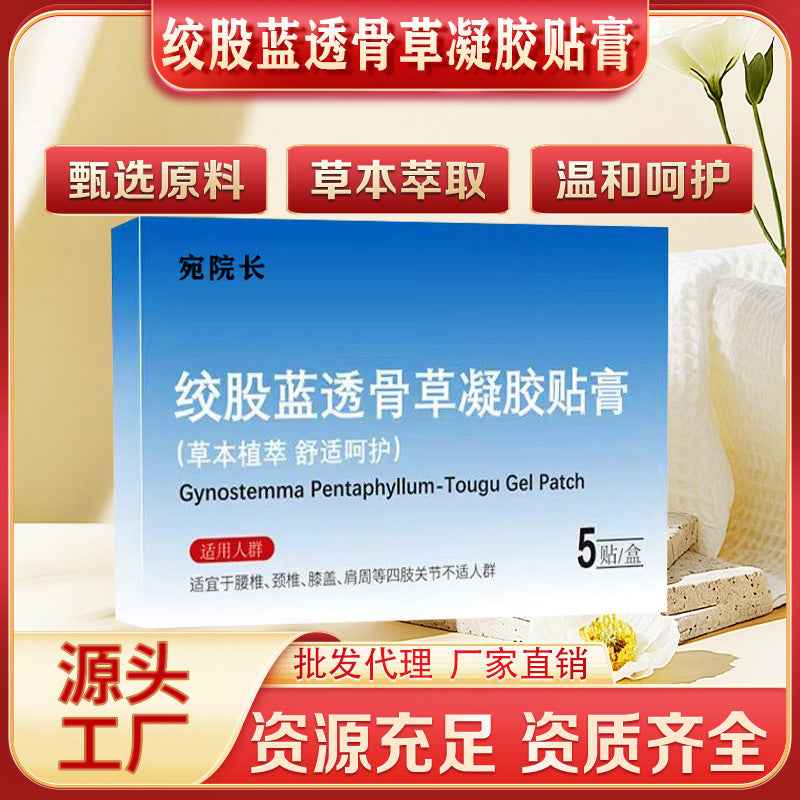 Gynostemma Pentaphyllum Hydrogel Patch | Mugwort Moxibustion | Prime Care