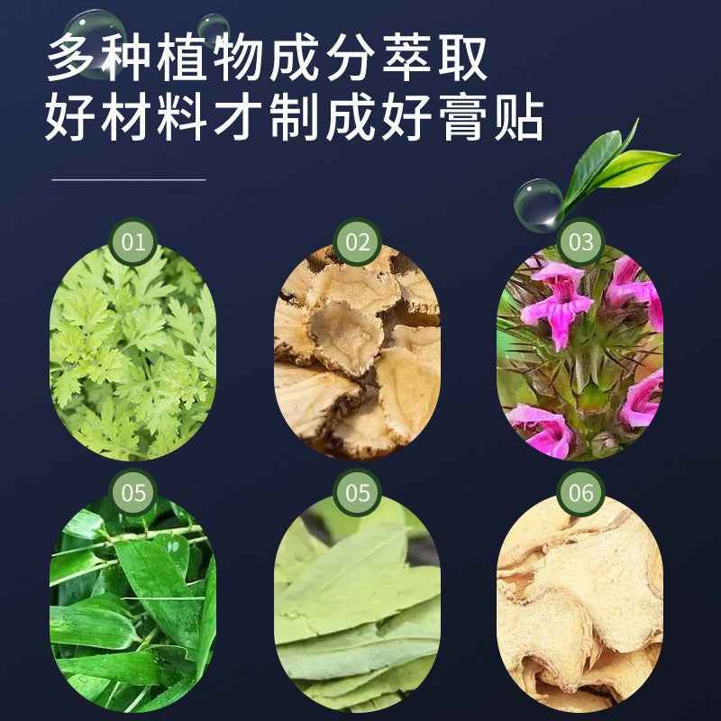 Gynostemma Pentaphyllum Hydrogel Patch | Mugwort Moxibustion | Prime Care